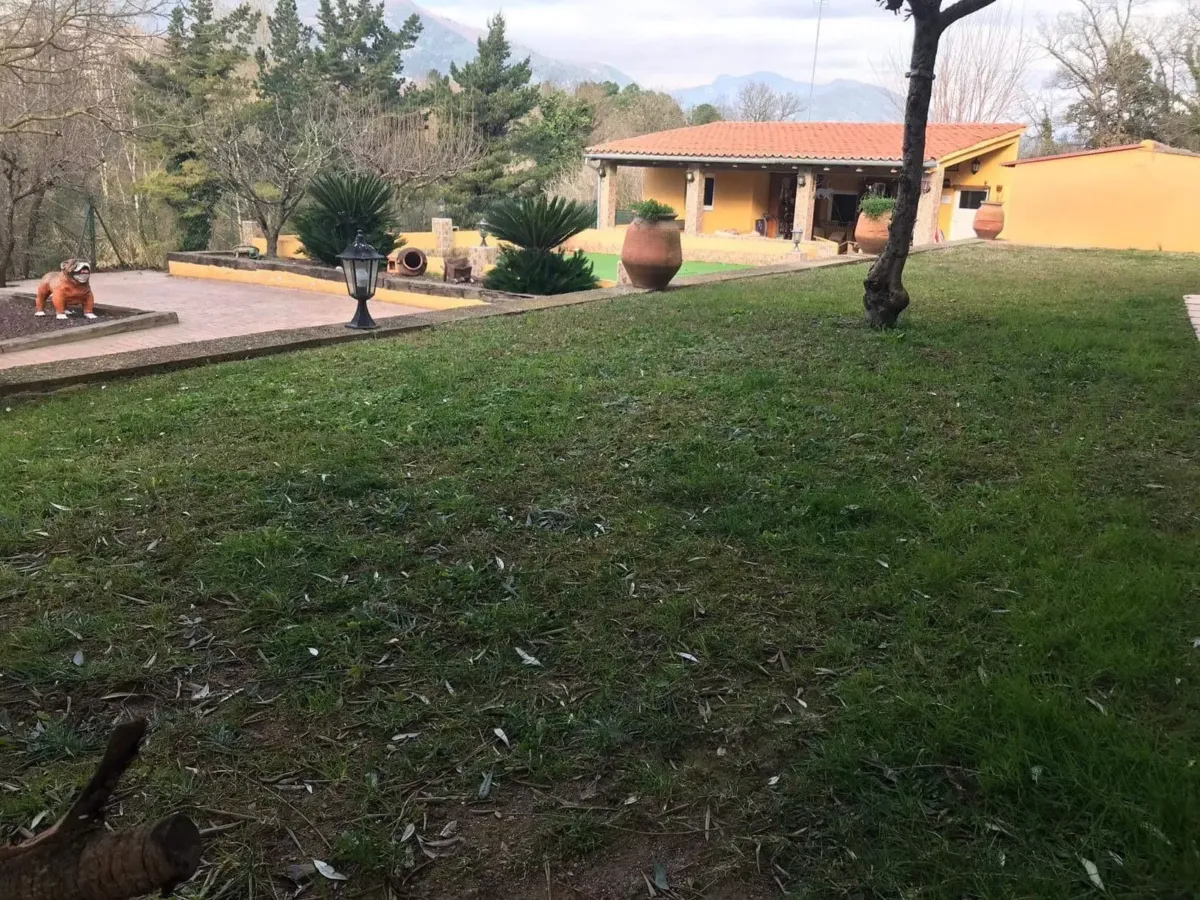 jardin para Bulldog criadero instalaciones fat puppys