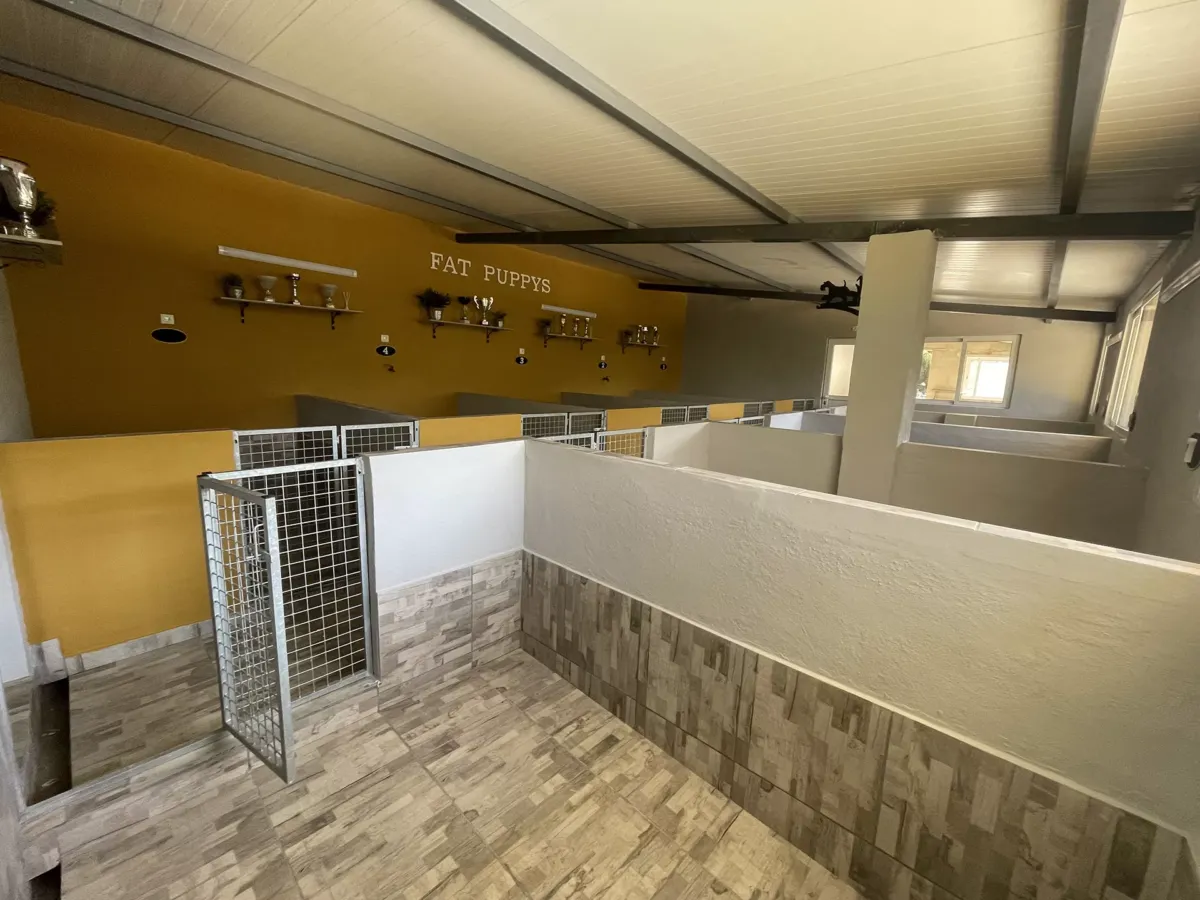 INSTALACIONES INTERIORES LUJO FAT PUPPYS CRIADERO BULLDOG INGLES