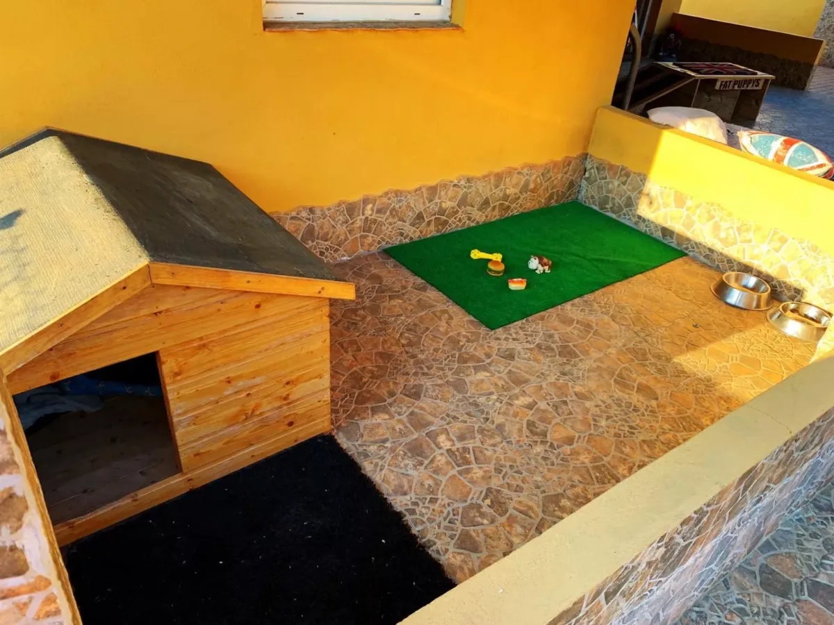 FOTO INSTALACIONES EXTERIOR BOX INDIVIDUAL LIUJO FAT PUPPYS CRIADERO BULLDOG INGLES