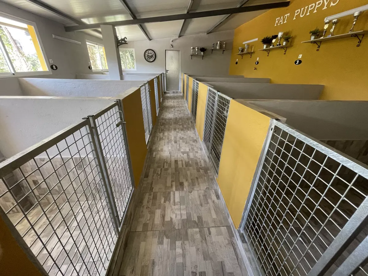 INSTALACIONES DETALLE JAULAS INDIVIDUALES LUJO DE FAT PUPPYS CRIADERO BULLDOG INGLES