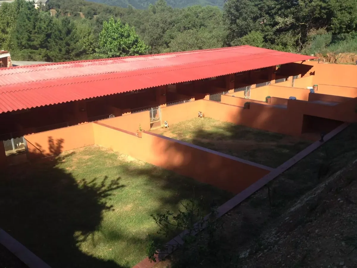 IMAGENES INSTALACIONES EXTRIORES CON PATIO Y JARDIN FAT PUPPYS CRIADERO BULLDOG INGLES